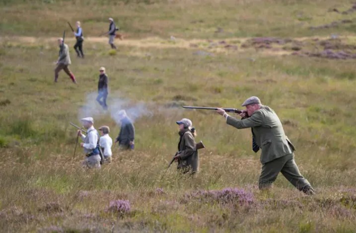 The Glorious Twelfth hunting grouses in Scotland Glen Cova Scotland