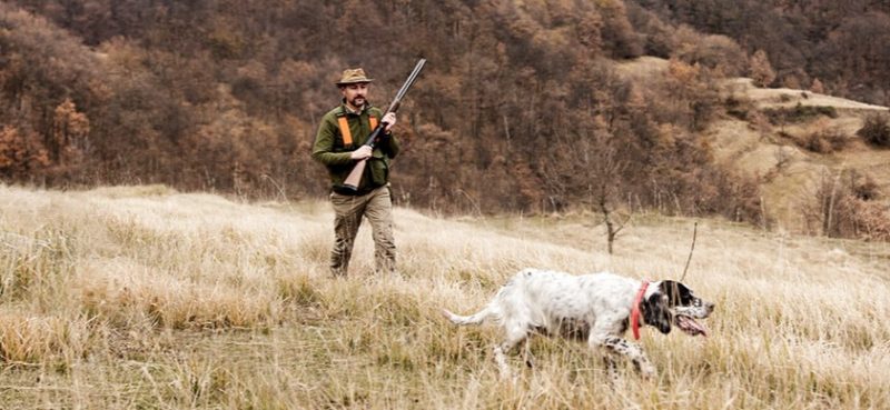 Hunting with dogs in Canada