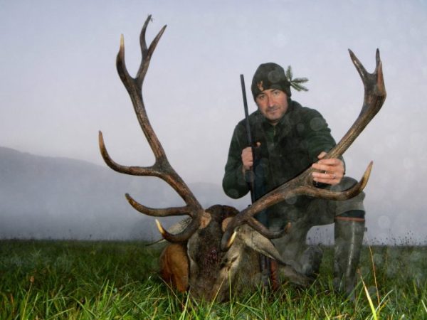 hunting red deers in Scotand