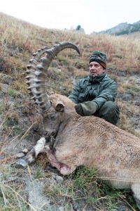 hunting in russia ibex