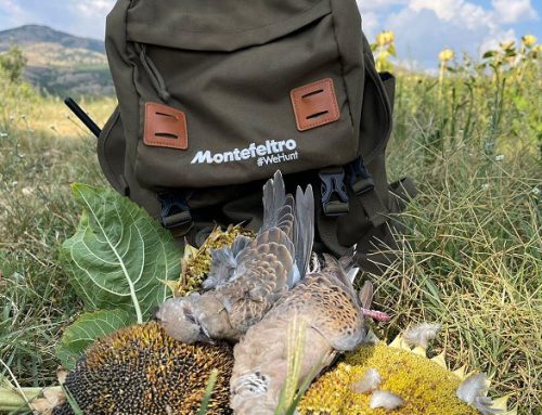 Hunting turtledoves and wood pigeons in Macedonia: traveling with Alessandro!Published On: Maggio 7, 2025