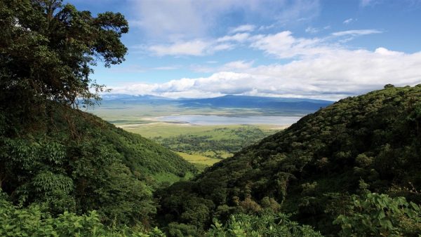 hunting in Tanzania with Montefeltro