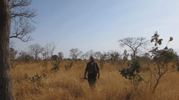 viaggio caccia senegal caccia grossa