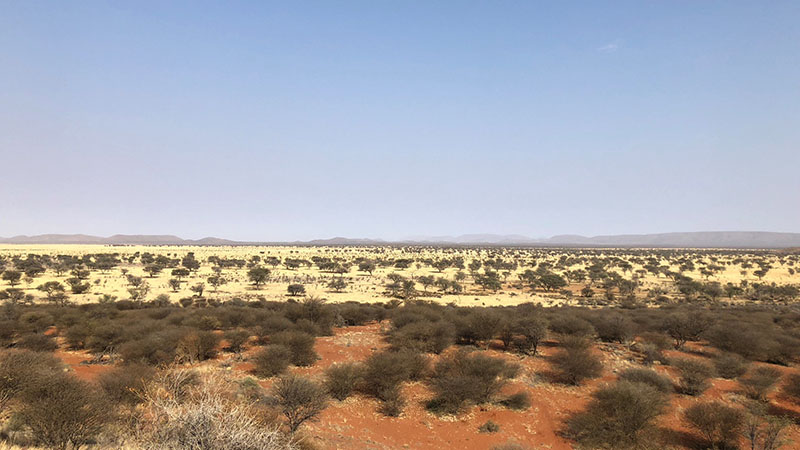safari in Namibia with Montefeltro