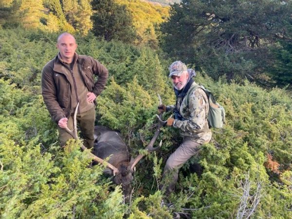Deer hunting in Bulgaria