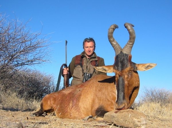 Red-Hartebbest-hunting-safari-in-Namibia