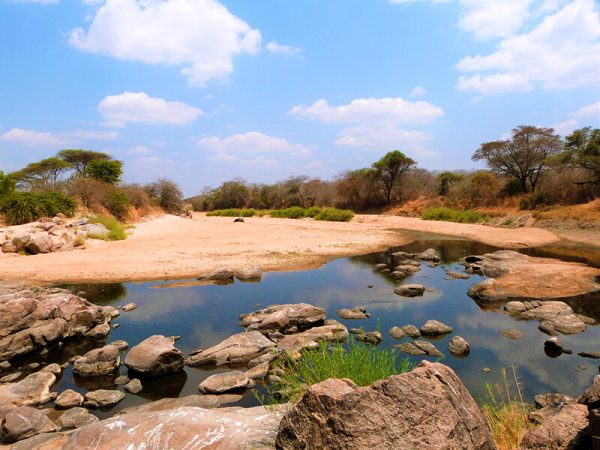 safari in Tanzania Africa
