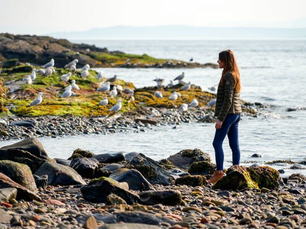 Shores of Isle of Bute