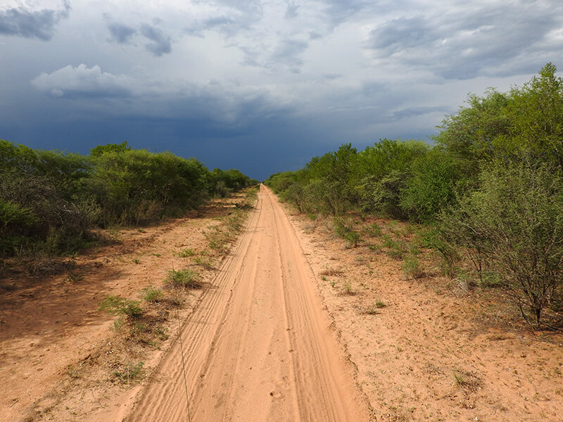 botswana cloudy sky menacing the hunters