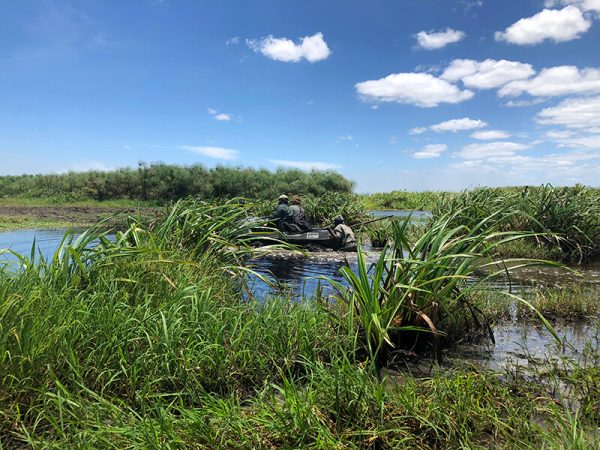 Mozambique hunting trip