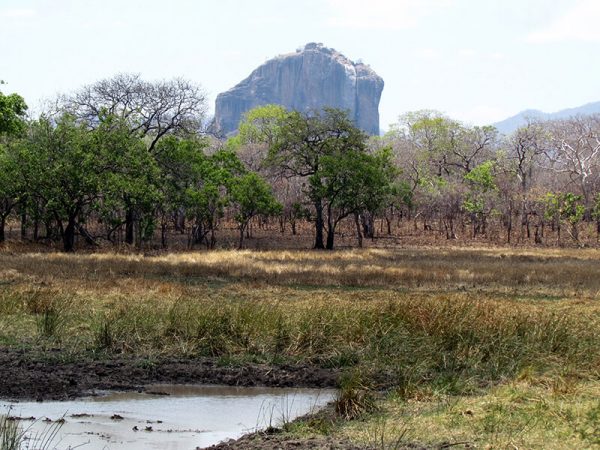 Mozambique safarie Montefeltro