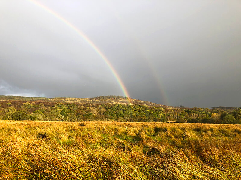 Scotland's rainbows
