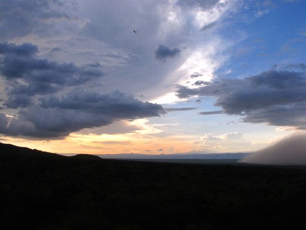Tanzania Safaries