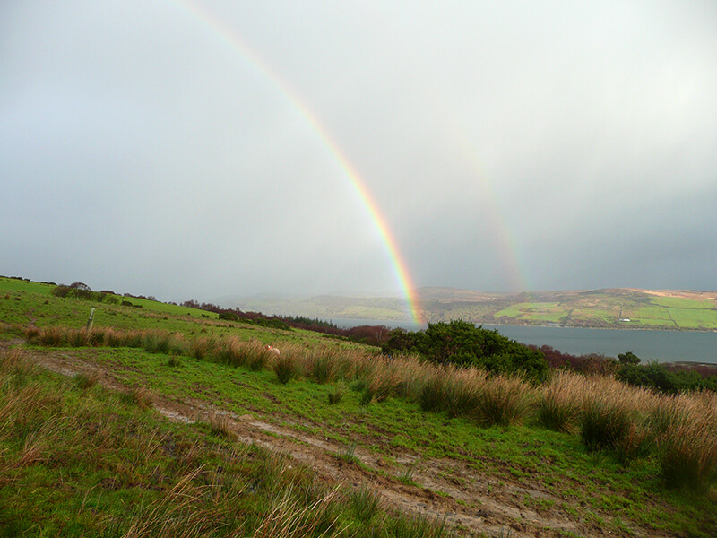 rainbow afrter rainfalls while hunting