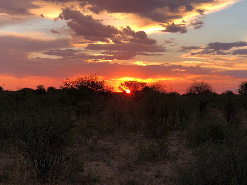sunset in Botswana safari