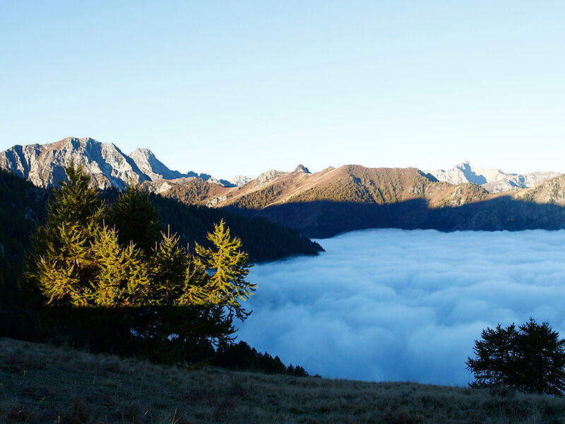 Hunting chamois above the clouds stunning landscape