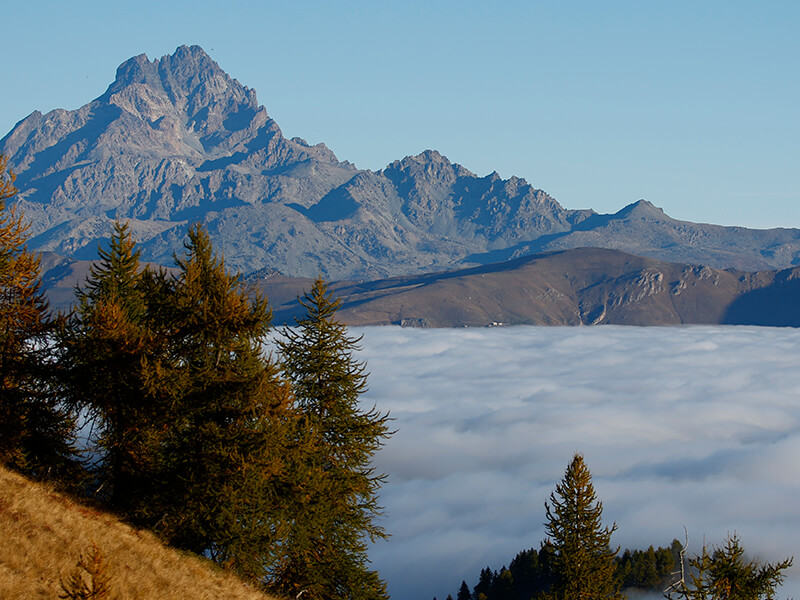 Hunting in italian Alps above the clouds