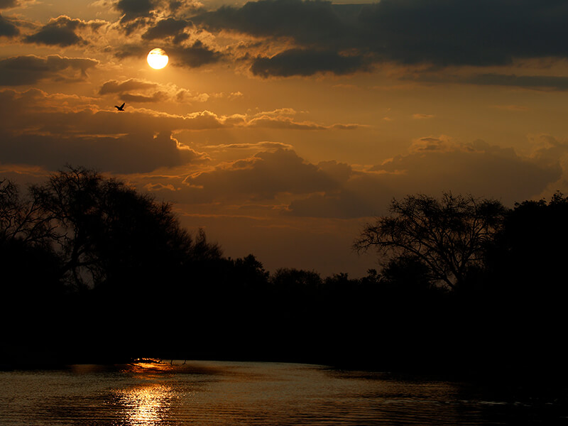 beautiful moon seen from a boat o a south african river during one of the Montefeltro safaries