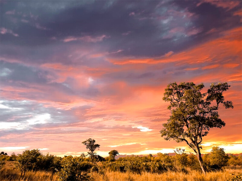 In Botswana, stunning skies unfold before the hunter's eyes