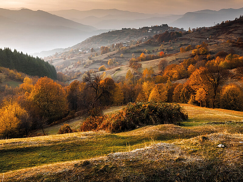 The marvelous Bulgarian hills where hunting with pointing dogs takes place