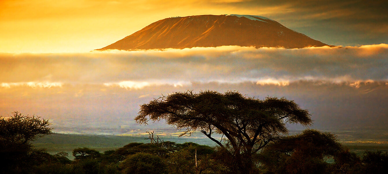 Tanzania kilimanjaro stand in the sky during a safari