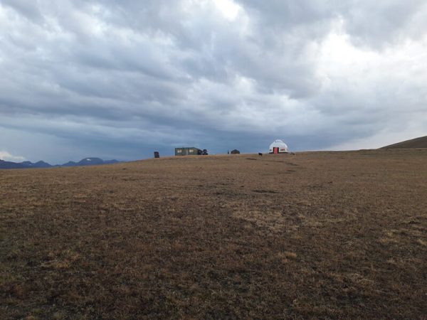 hunting in Kazahstan