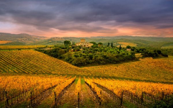 Chianti-hunting-wild-boars-area