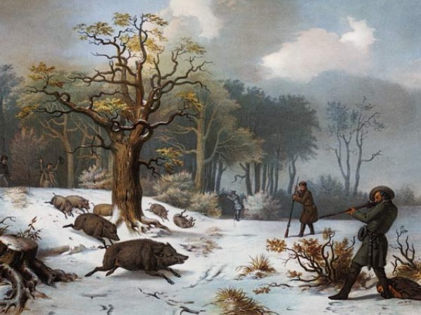 Wild boar hunting in the past