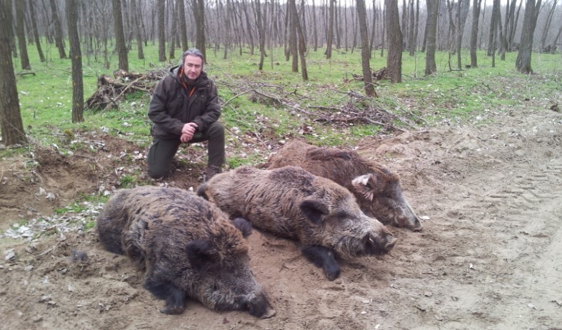 wild-boar-hunting-in-Slovenia