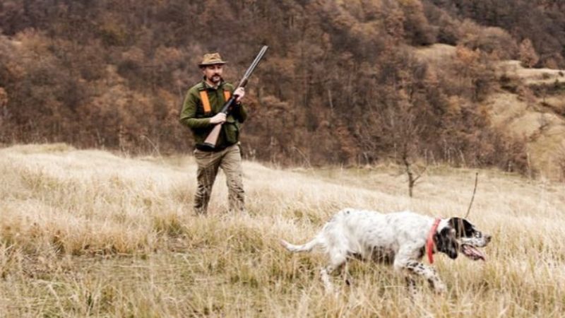 Hunting with dogs in Canada
