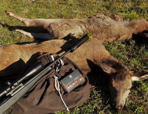 Which is the best gun and caliber for your favorite type of hunting?Published On: May 3, 2024