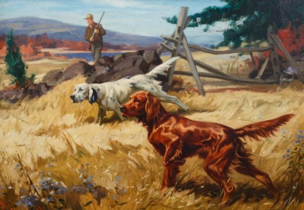 setters while pointig small game gordon setter