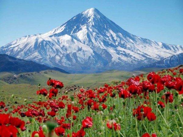 Hunting-on-Iranian-mountains