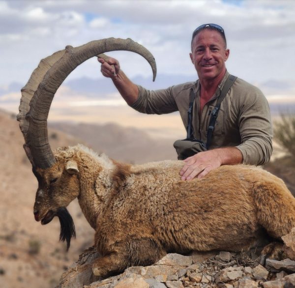 Persian-Ibex