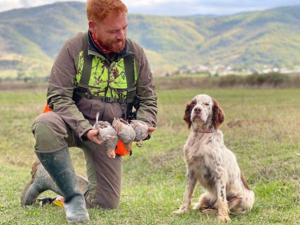 hunting dog