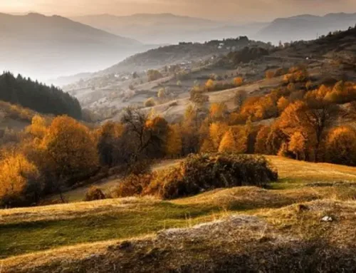 Bulgaria: A Hunter’s Paradise Amidst Mountains and SeasPublished On: Novembre 24, 2024