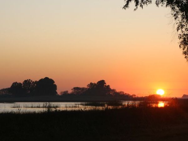 Hunting in Argentina