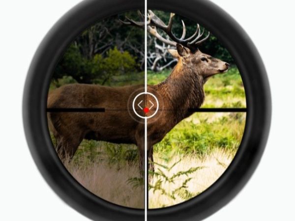 Deer hunting optics