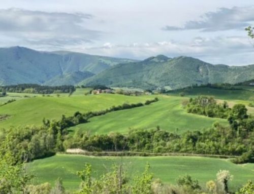 Hunting in the Marche regionPublished On: September 20, 2024