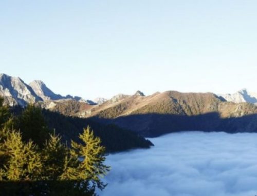 Chamois hunting in the italian Piedmont valleysPublished On: Ottobre 6, 2024