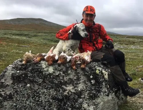 Lapland – A Paradise for Hunting Dog EnthusiastsPublished On: Ottobre 26, 2024