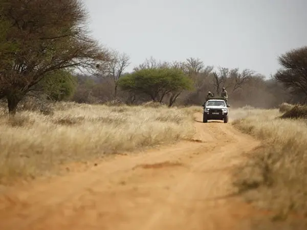 Hunting in Southern Africa