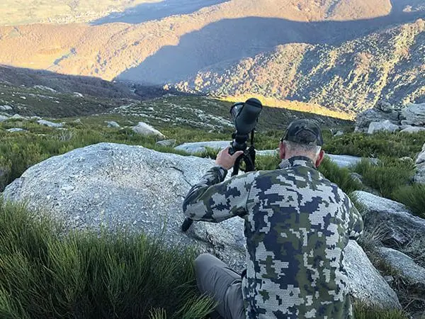 Hunting in Spain with Montefeltro