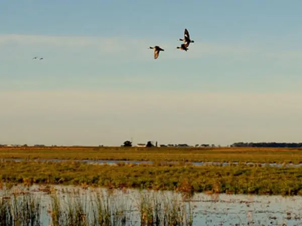 hunting programs in Argentina