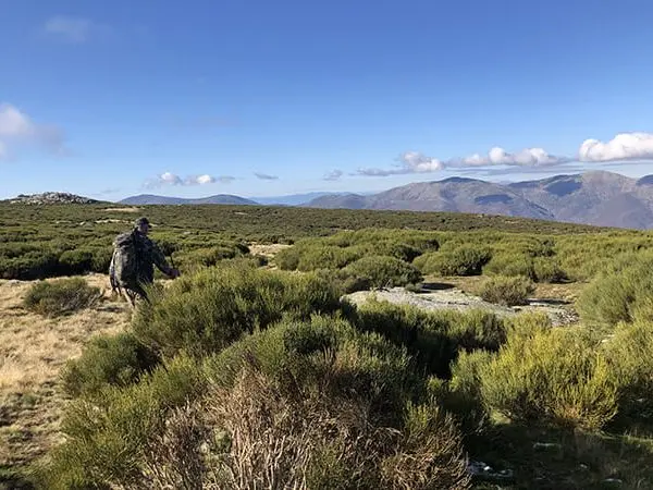 mancho montes hunting in Spain with Montefeltro