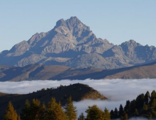 The Piedmont Alps and chamois huntingPublished On: July 2, 2024