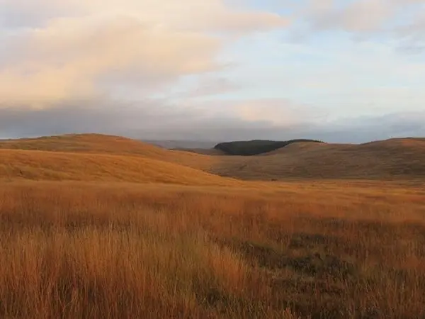 deer hunting in Scotland