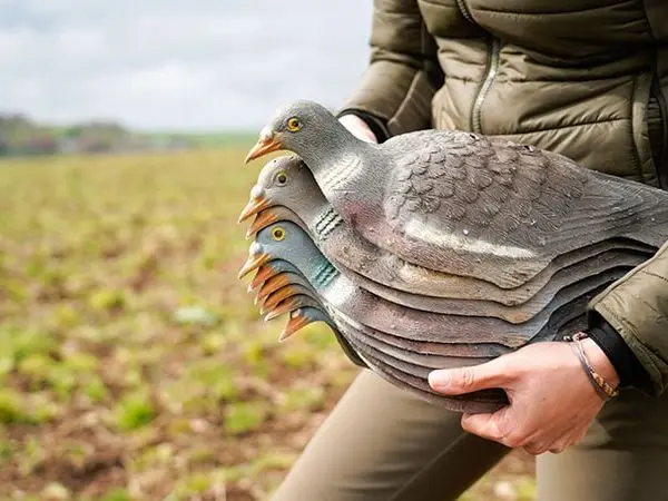 mixed hunting in Scotland