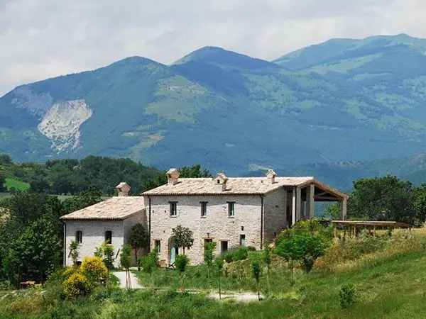 Hunting with dogs in Cagli at the San Fiorano reserve