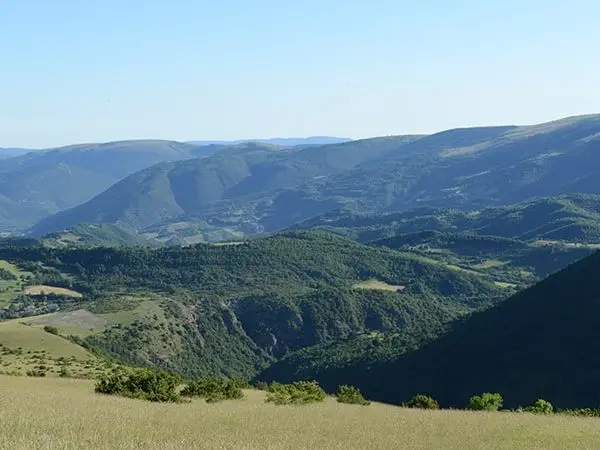 Feather hunting in the Fiordimonte reserve in the province of Macerata